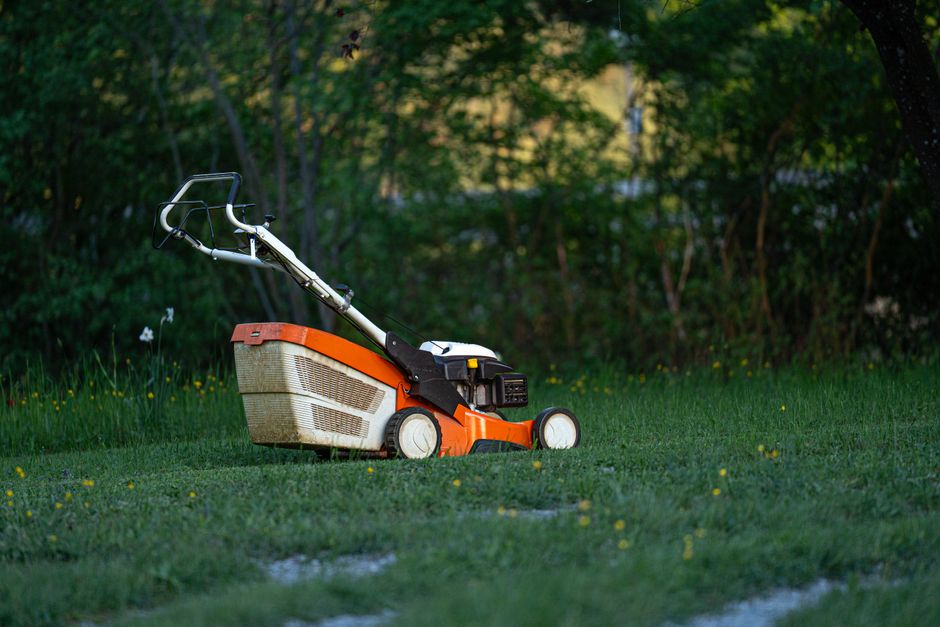 Mower working along the edge of a green lawn